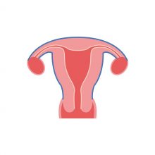 Uterus Cancer