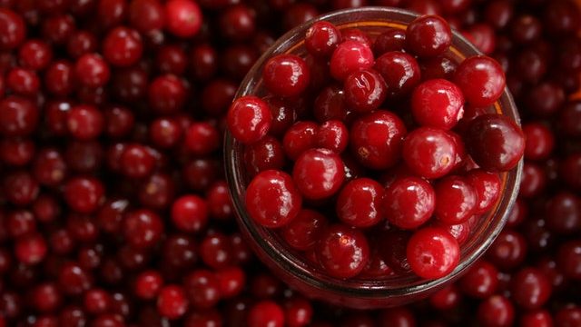 Cranberry Juice And Urine Infection