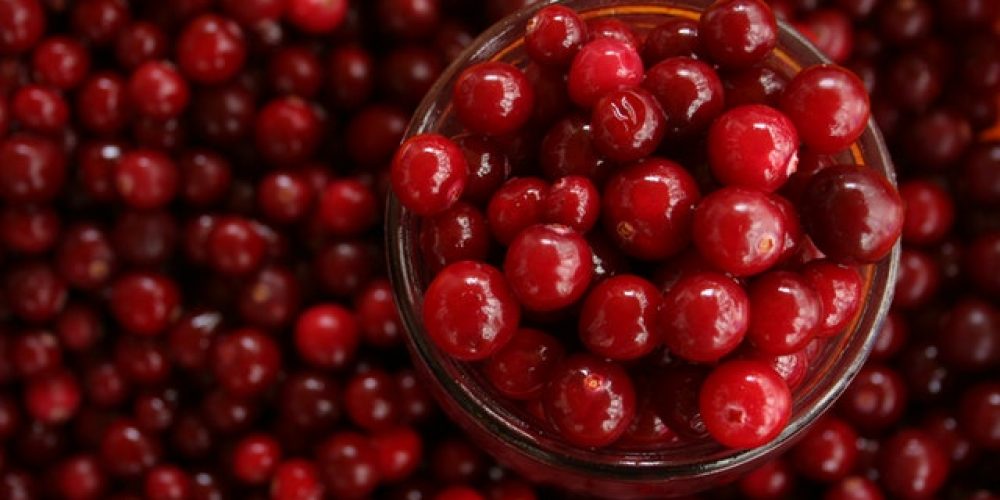 Cranberry Juice And Urine Infection